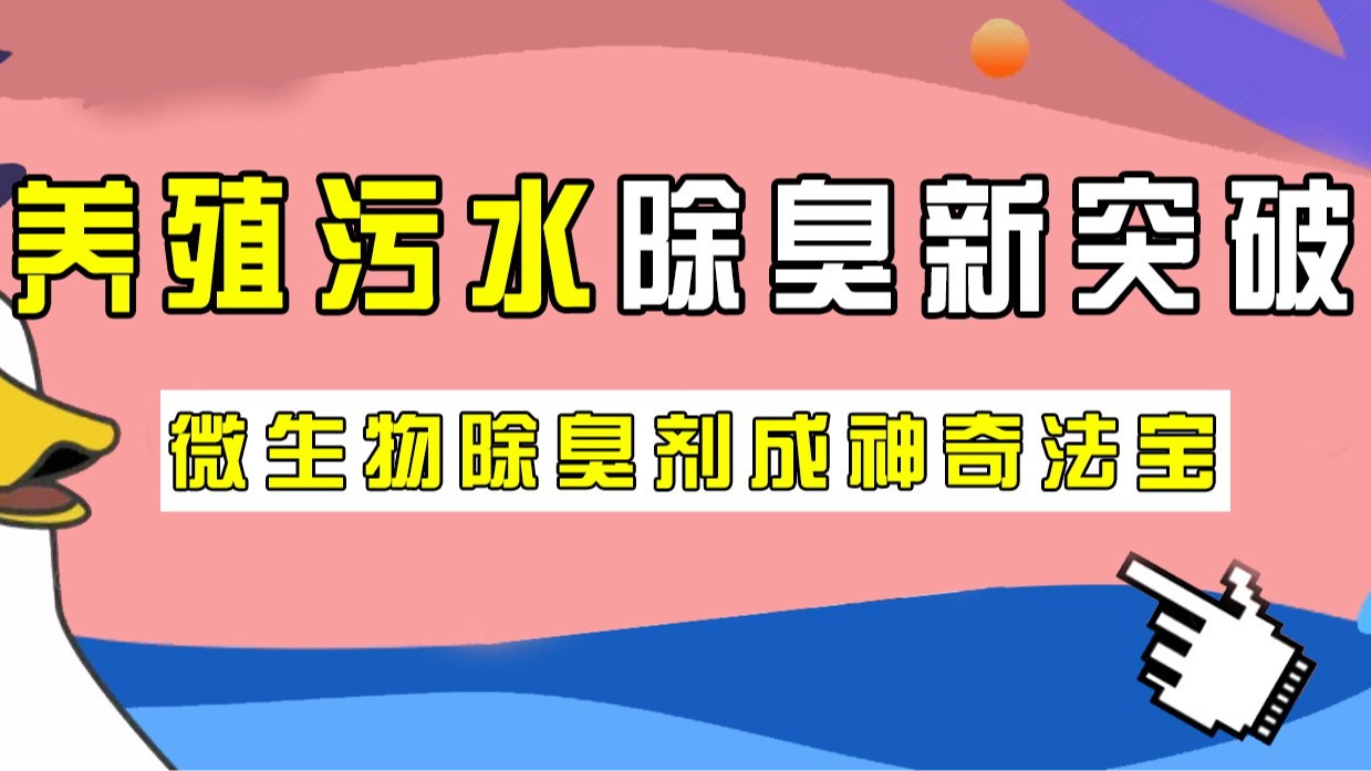 養(yǎng)殖污水除臭新突破，微生物除臭劑成神奇法寶